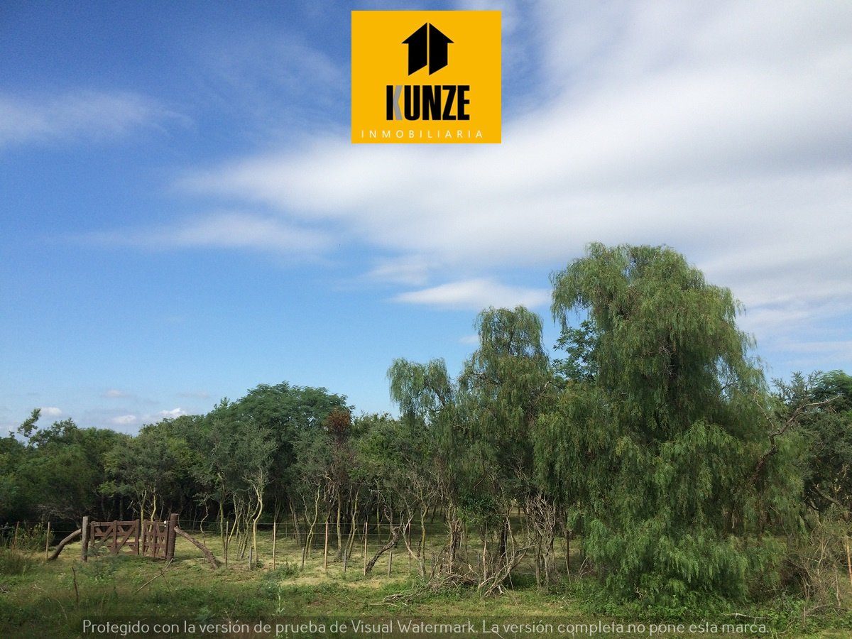 Lote de 1.234 m² con árboles nativos en Cerro de Oro – foto 2