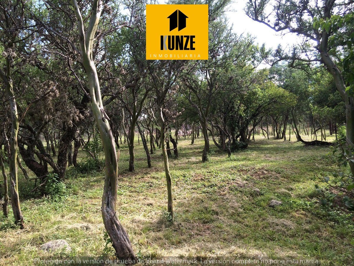 Lote de 1.234 m² con árboles nativos en Cerro de Oro – foto 3